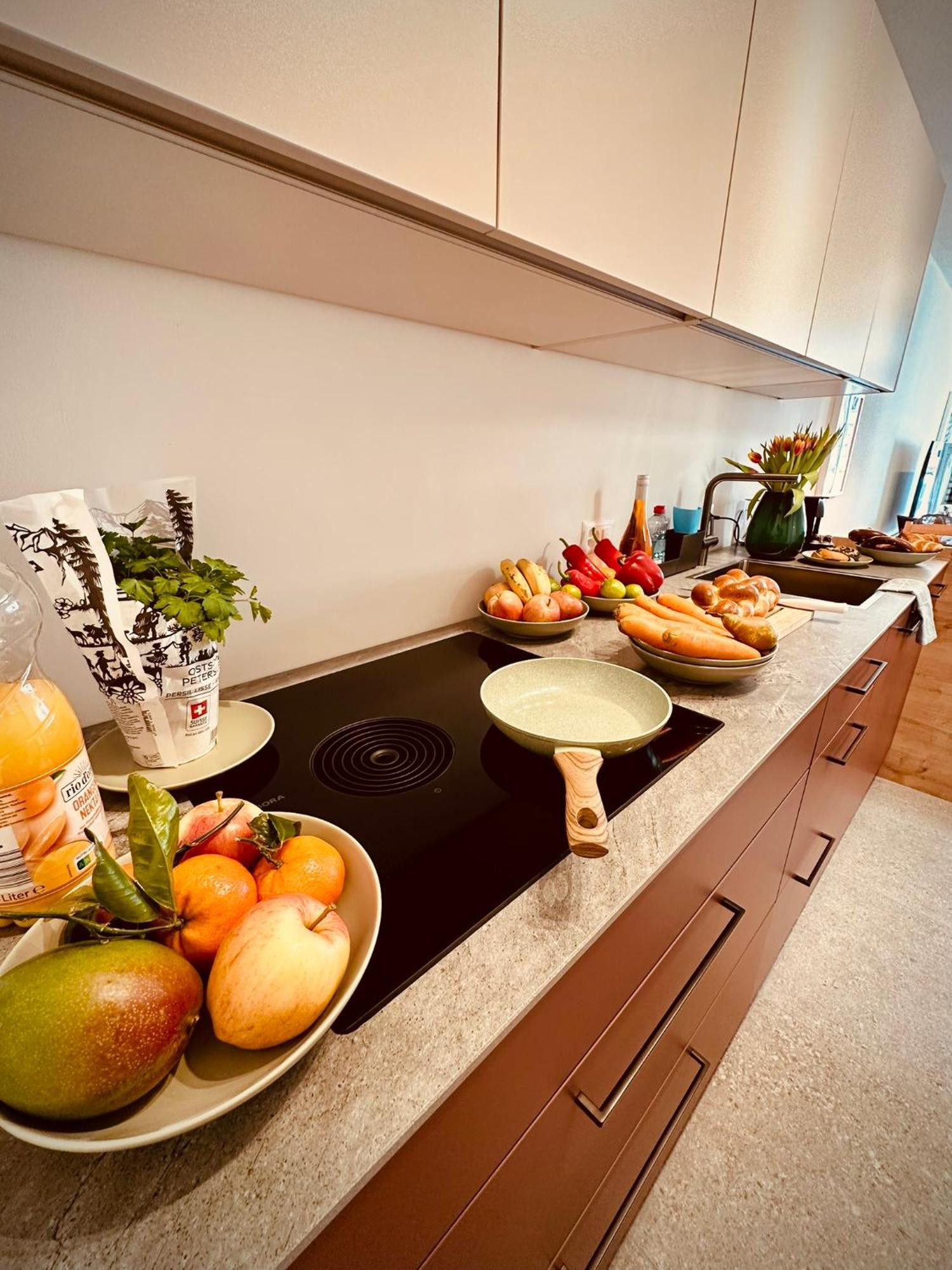 New With Sunny Terrace & Air Condition Apartment Zürich