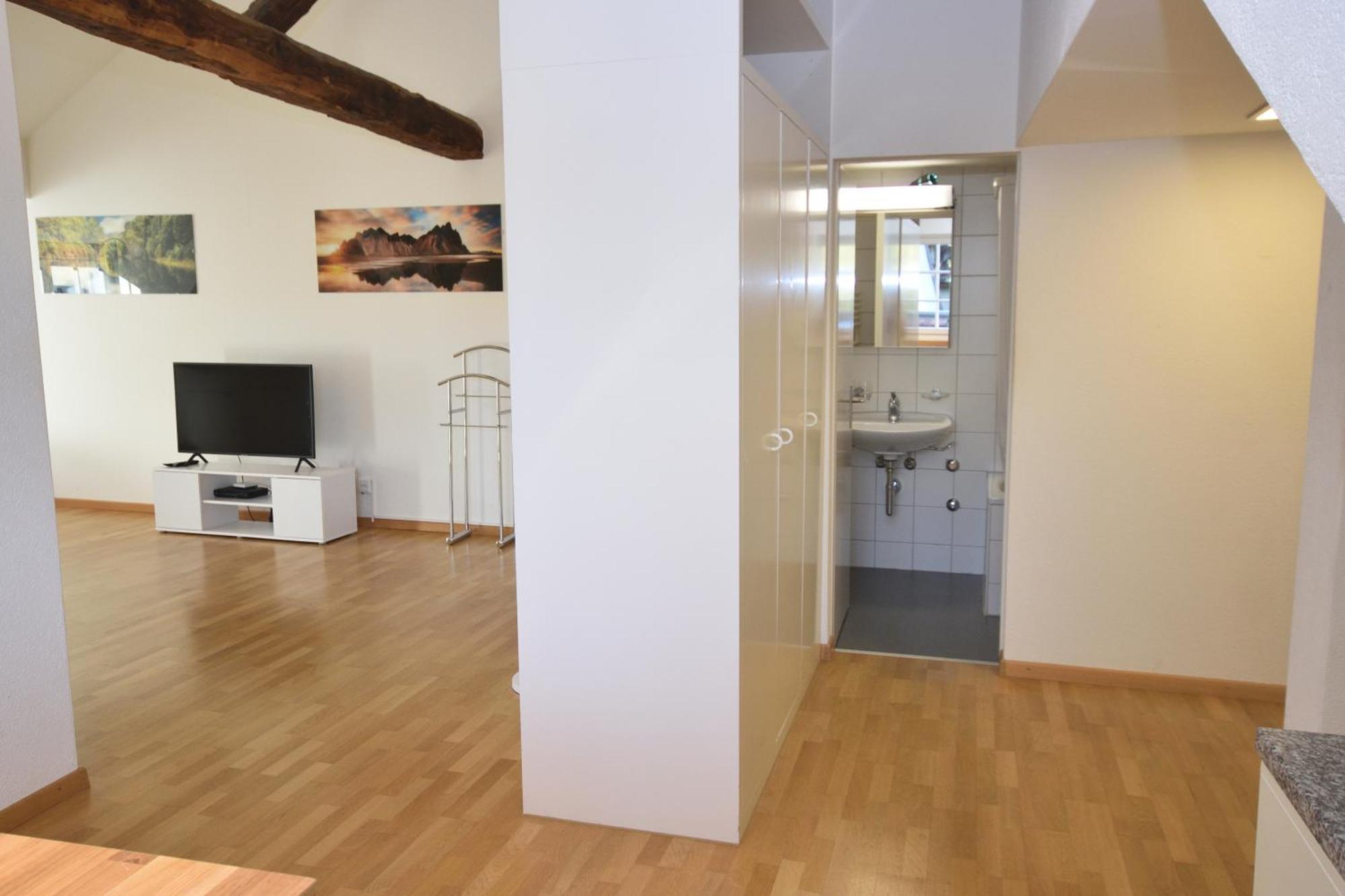 Apartment Loft In The Historical Center - Symbol 4 Zurich