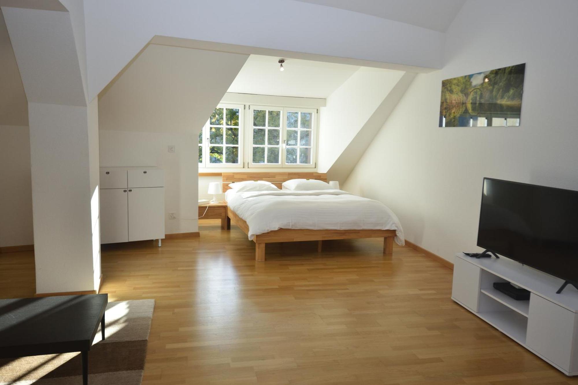 Loft In The Historical Center - Symbol 4 * Zurich