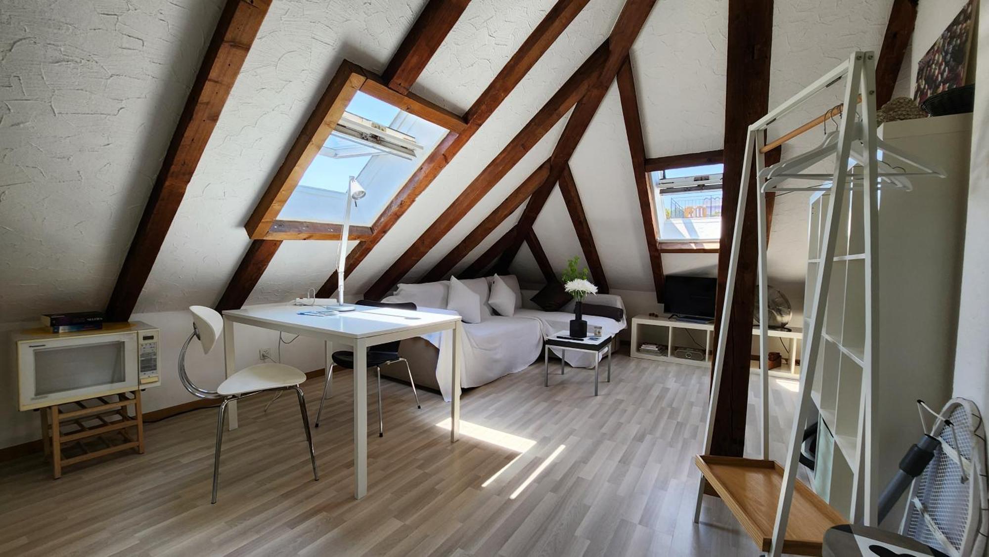 Trend Area Attic Seefeld Zurich
