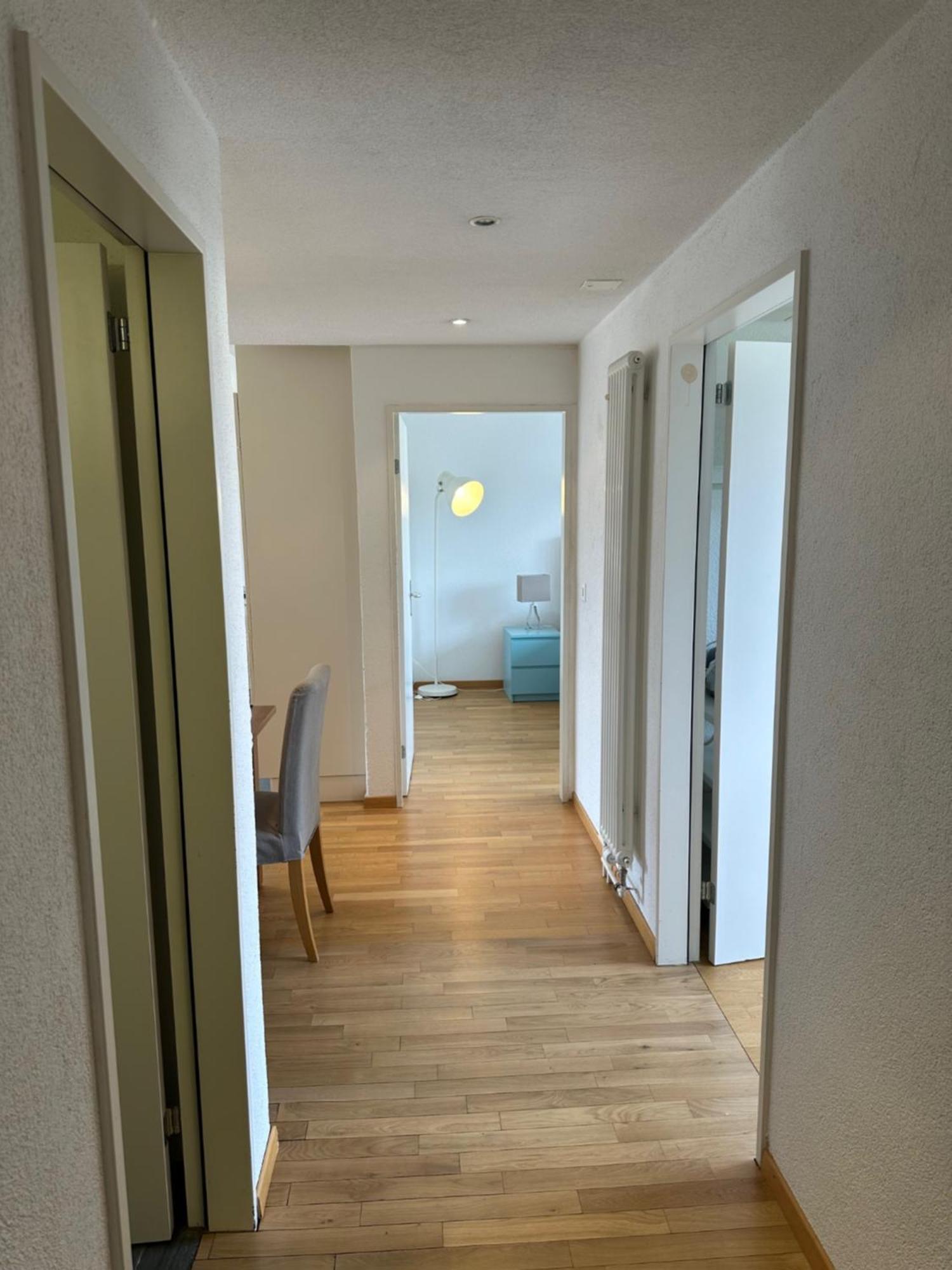 Apartment In West Zurich