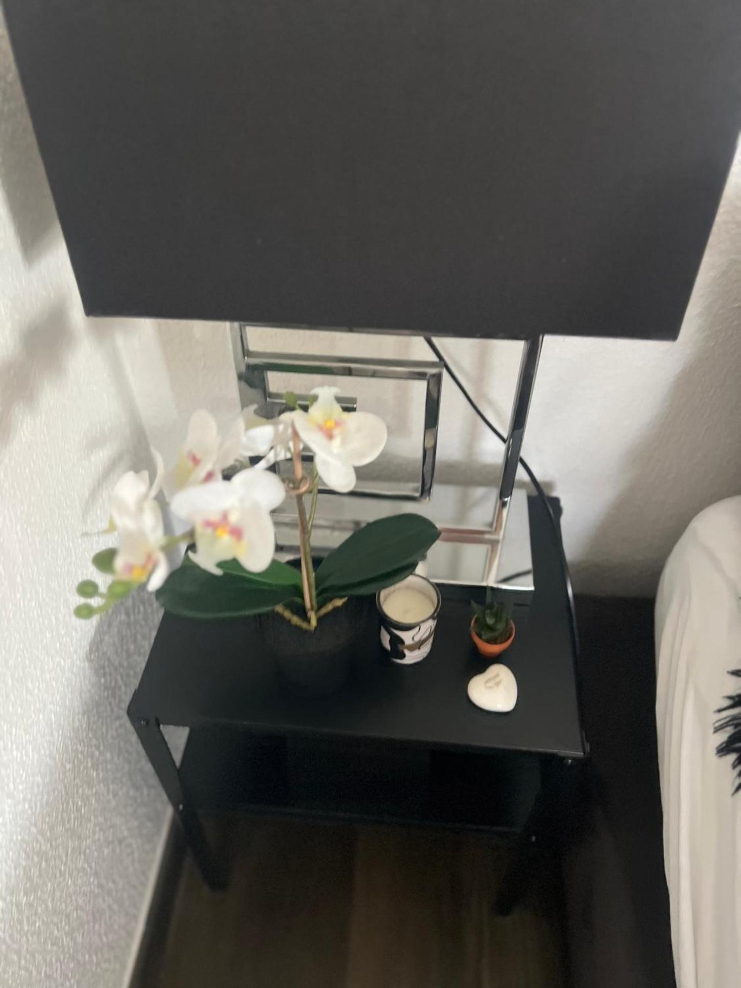 Studio Apartment Zurich