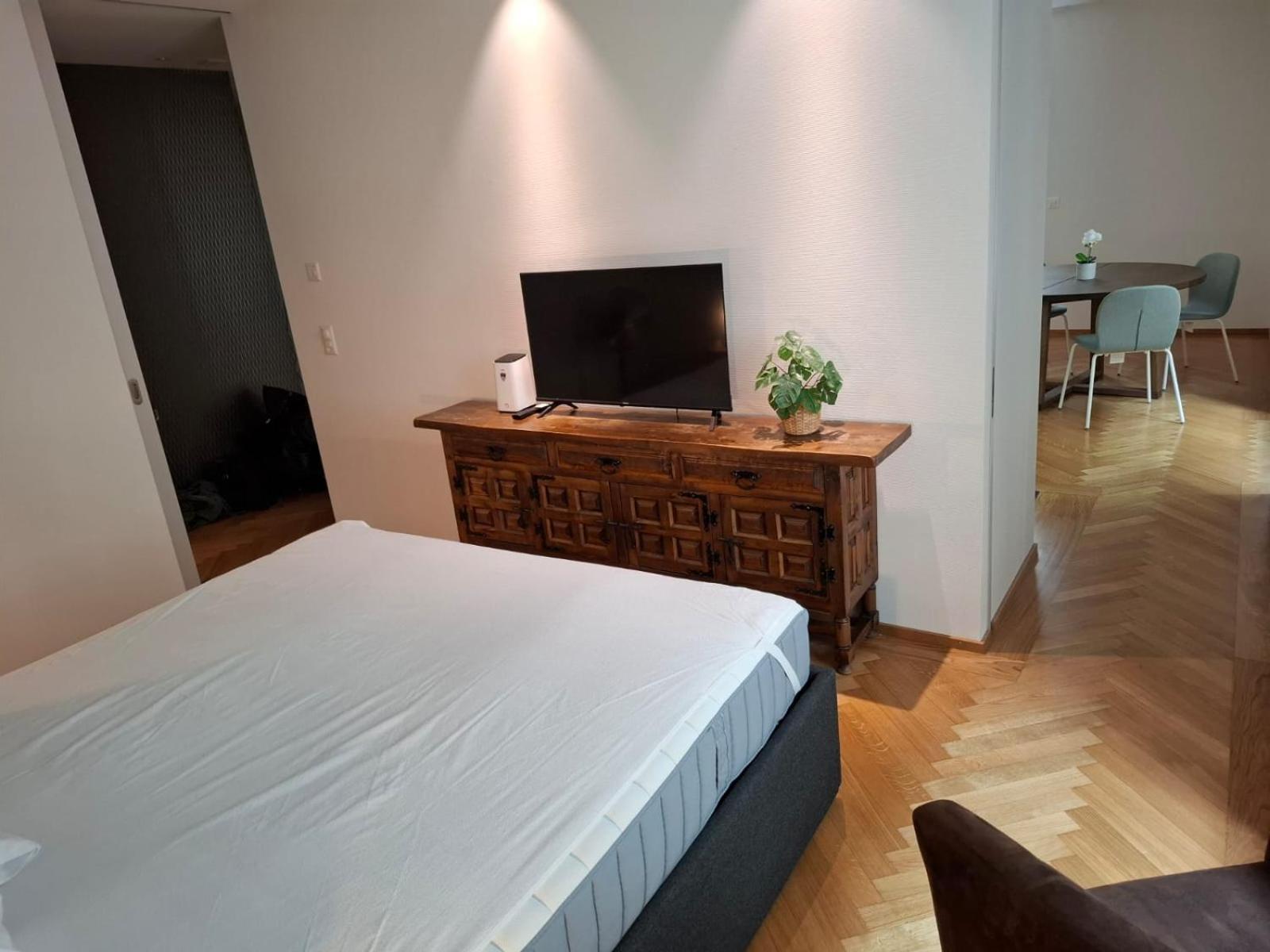 Apartment Zuerich Central Station Apartment, 2 Bedroom & Sofabed Zurich
