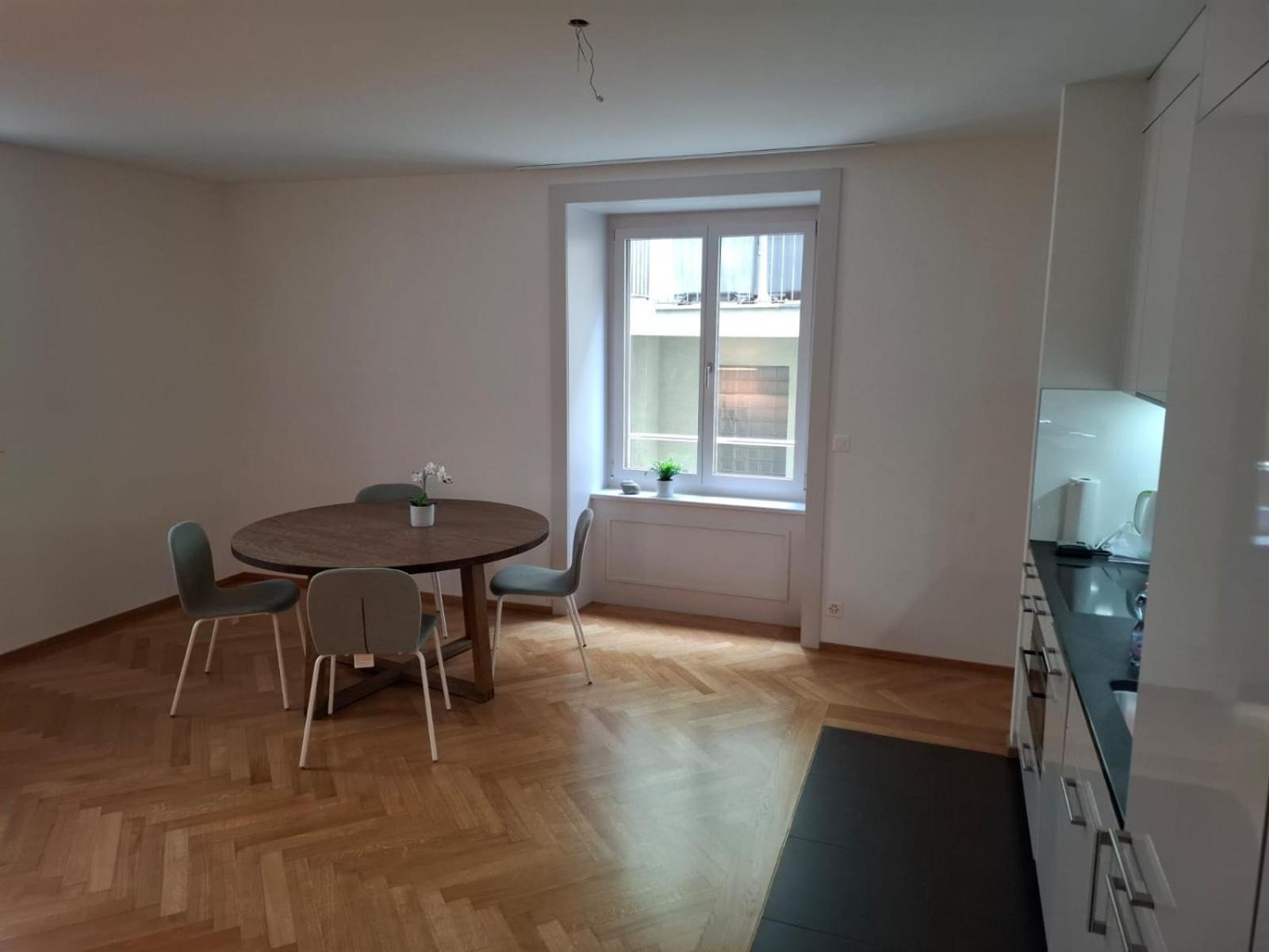 Zuerich Central Station Apartment, 2 Bedroom & Sofabed Apartment