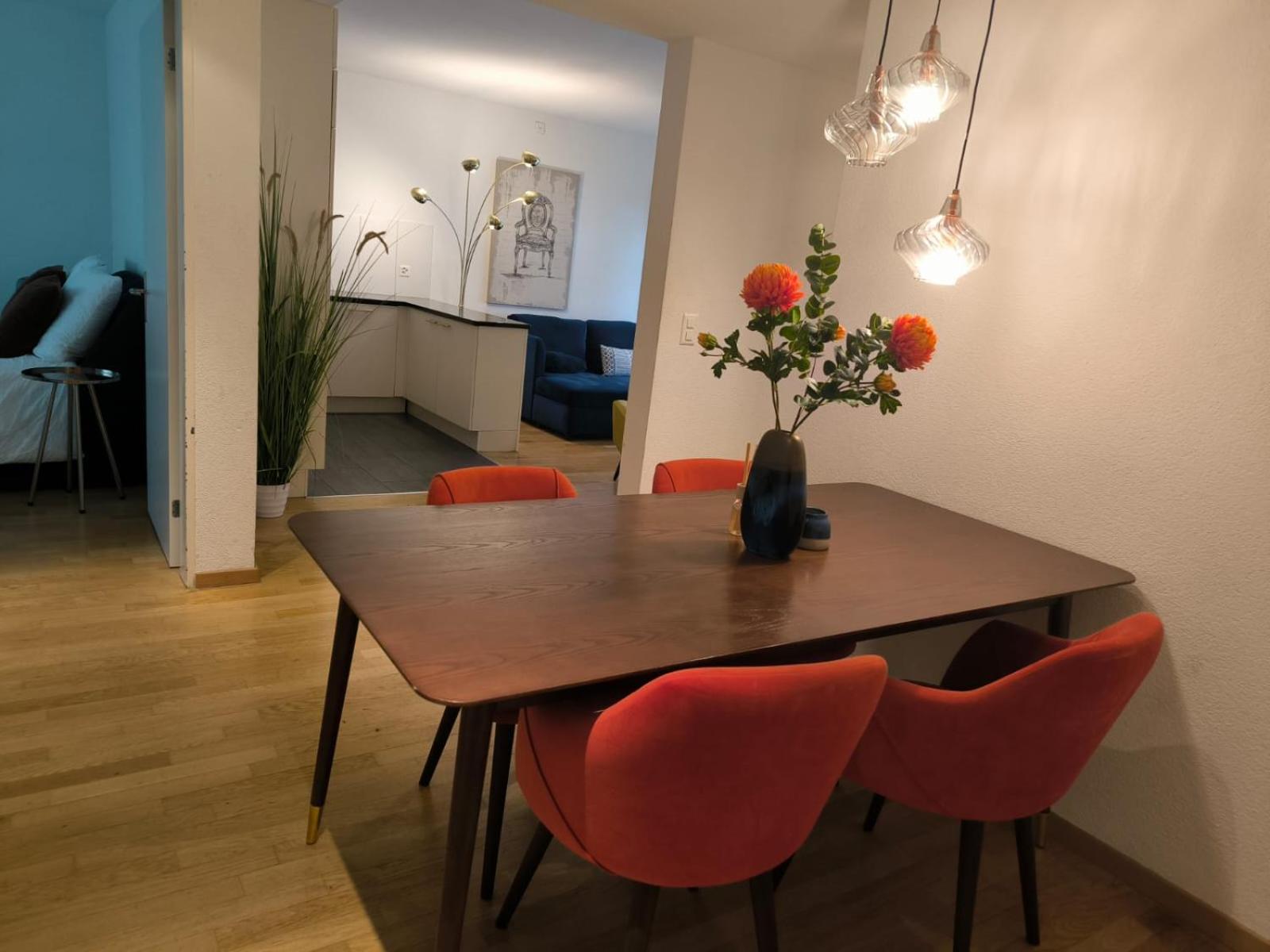 In West Apartment Zurich