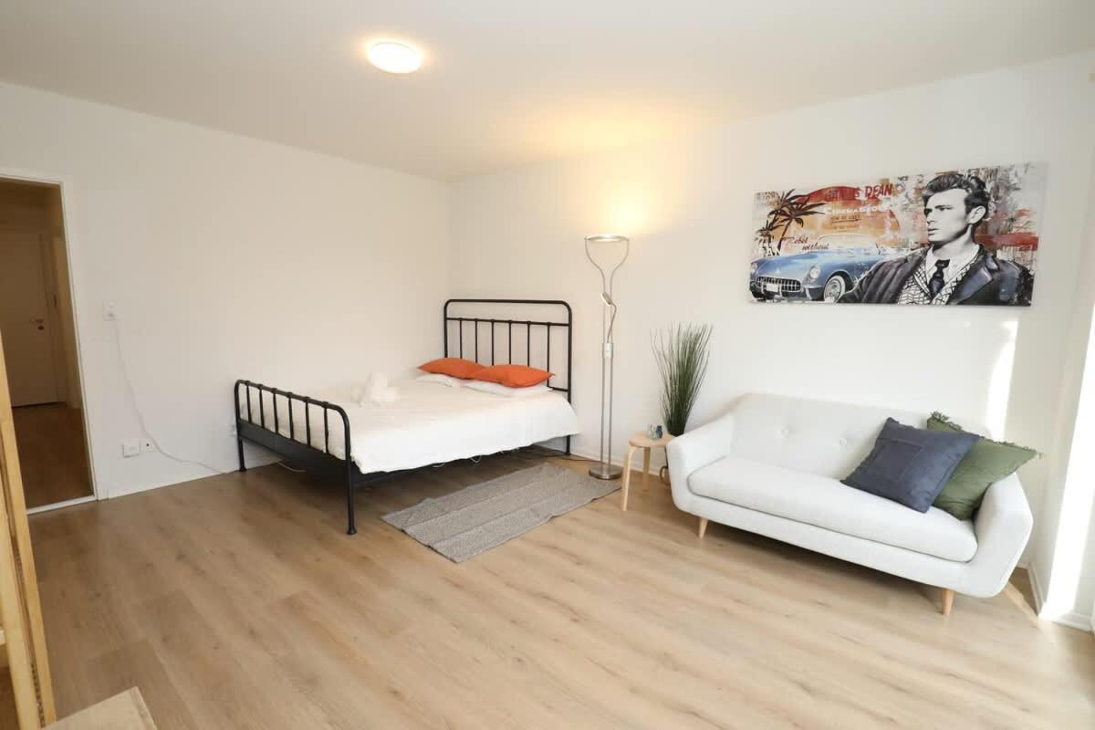Spacious Parkside In With Balcony Apartment Zurich