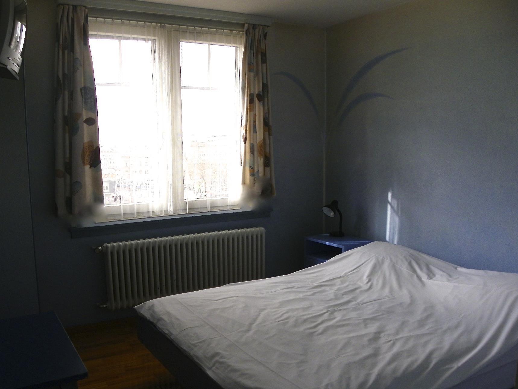 Hotel Limmathof 2*