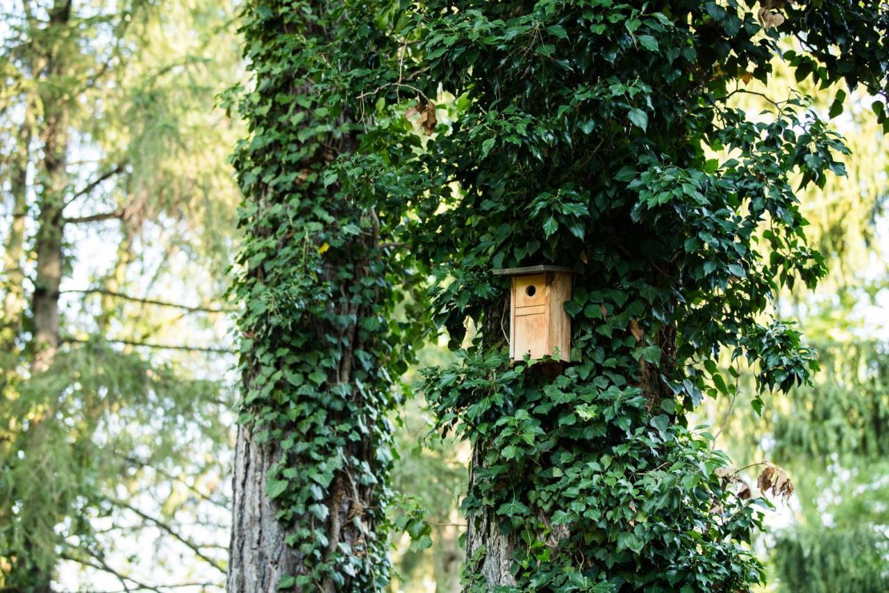 Hotel Engimatt & Garden Zurich