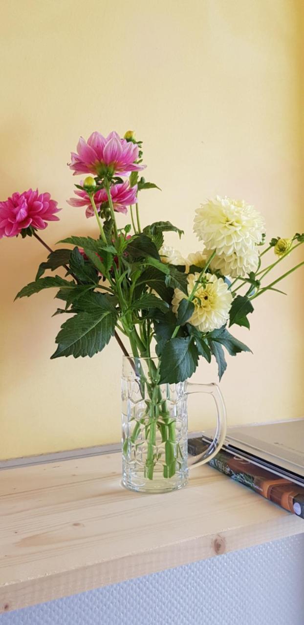 Privatunterkunft Homestay City Zürich