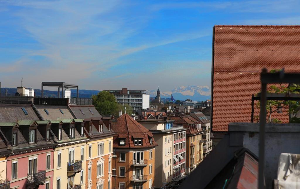 Apartment With Rooftop Garden Zurich