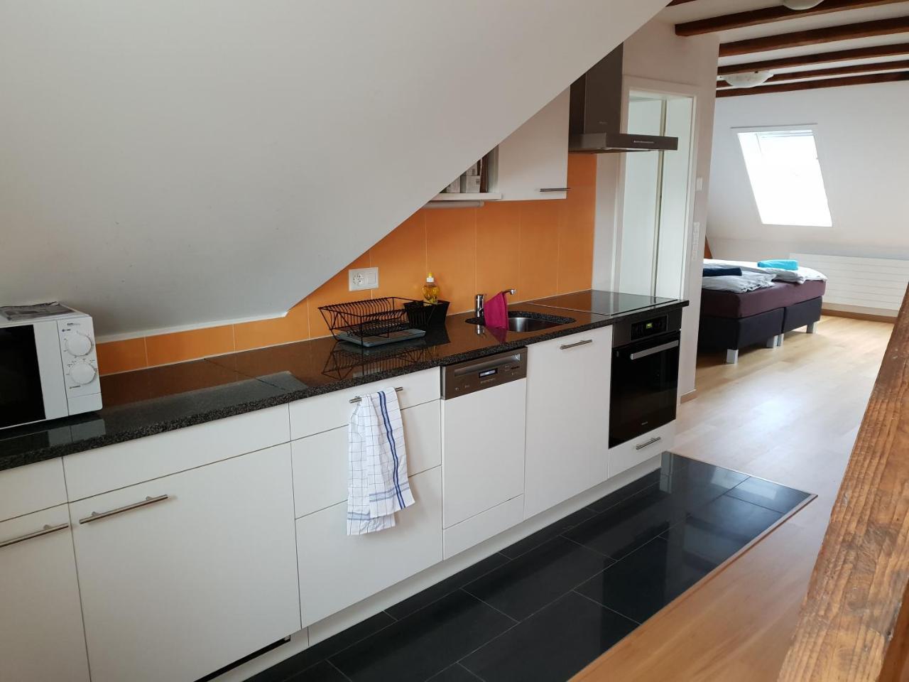 Apartment With Rooftop Garden Zurich