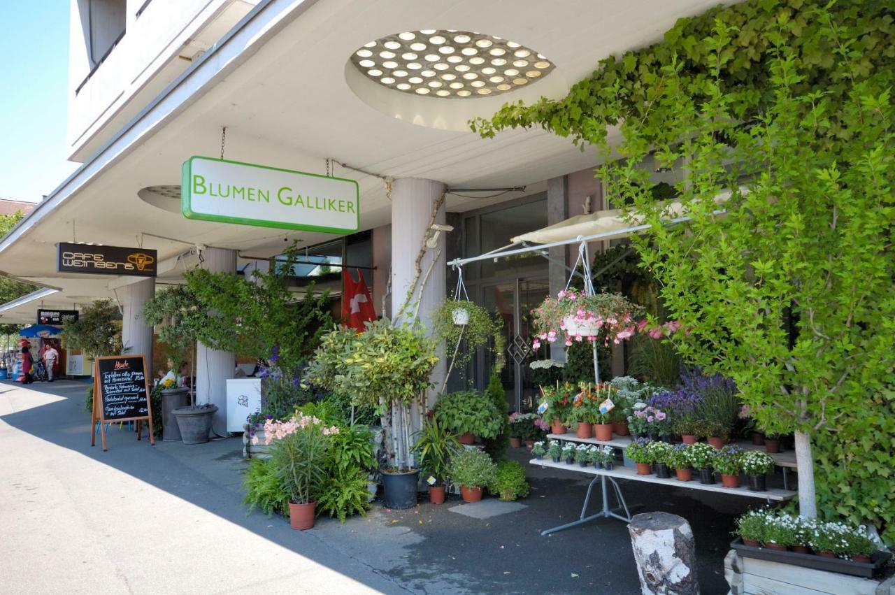 Big Studio In City Center - Vineyard 41 * Zurich