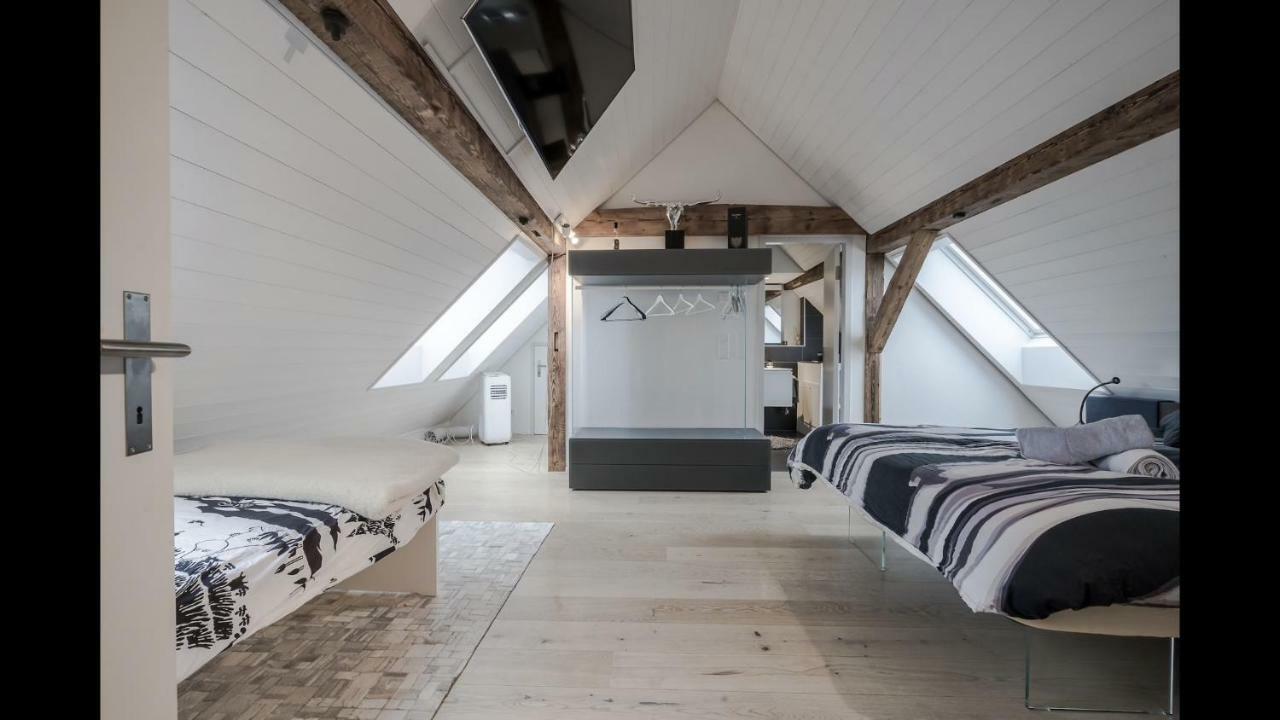Luxury Penthouse * Zurich