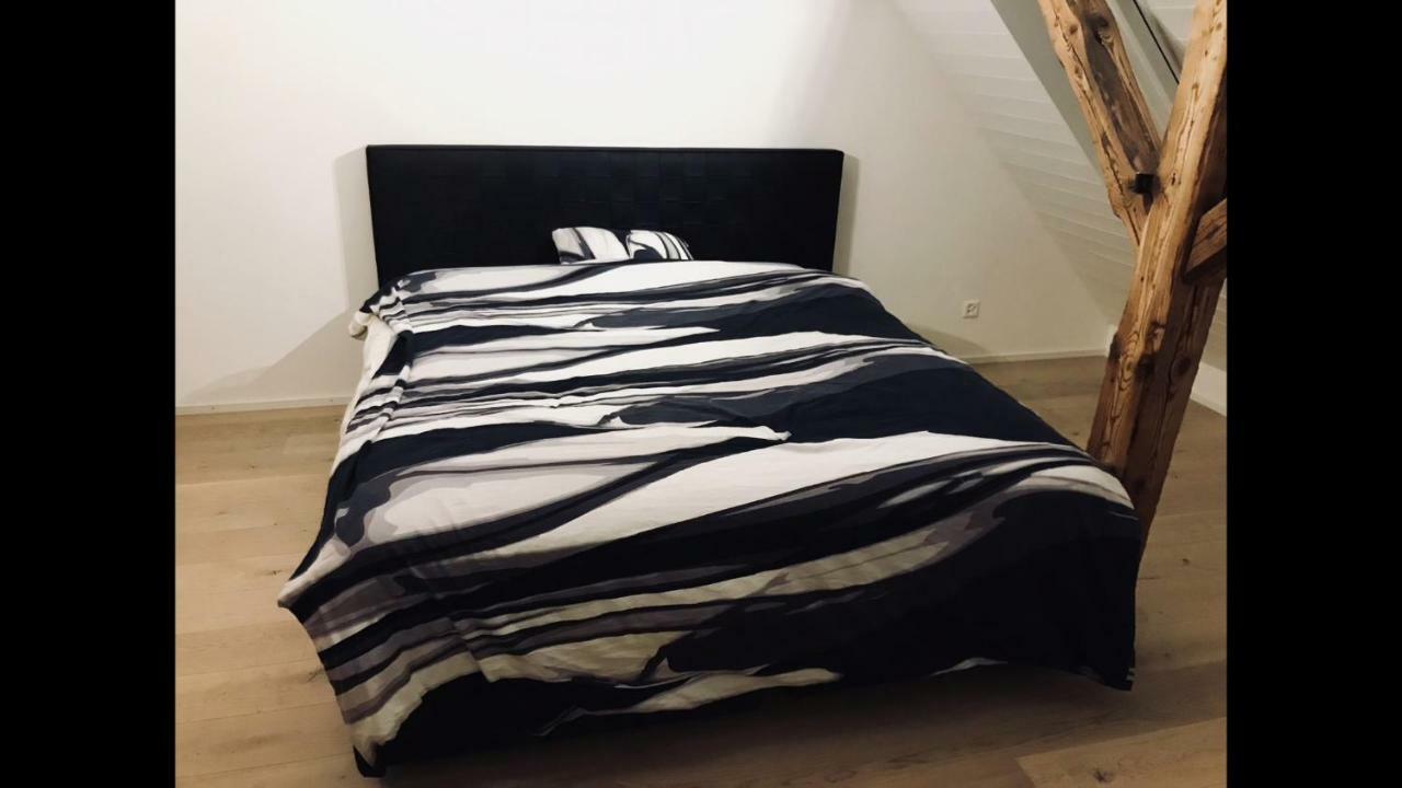 Apartment Luxury Penthouse Zurich