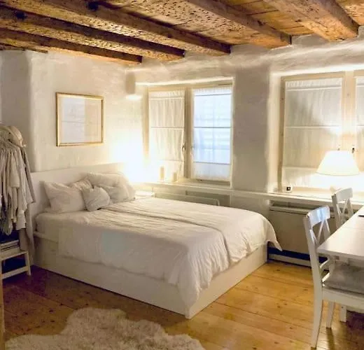 Historisches Chalet Im Herzen Von Zuerich