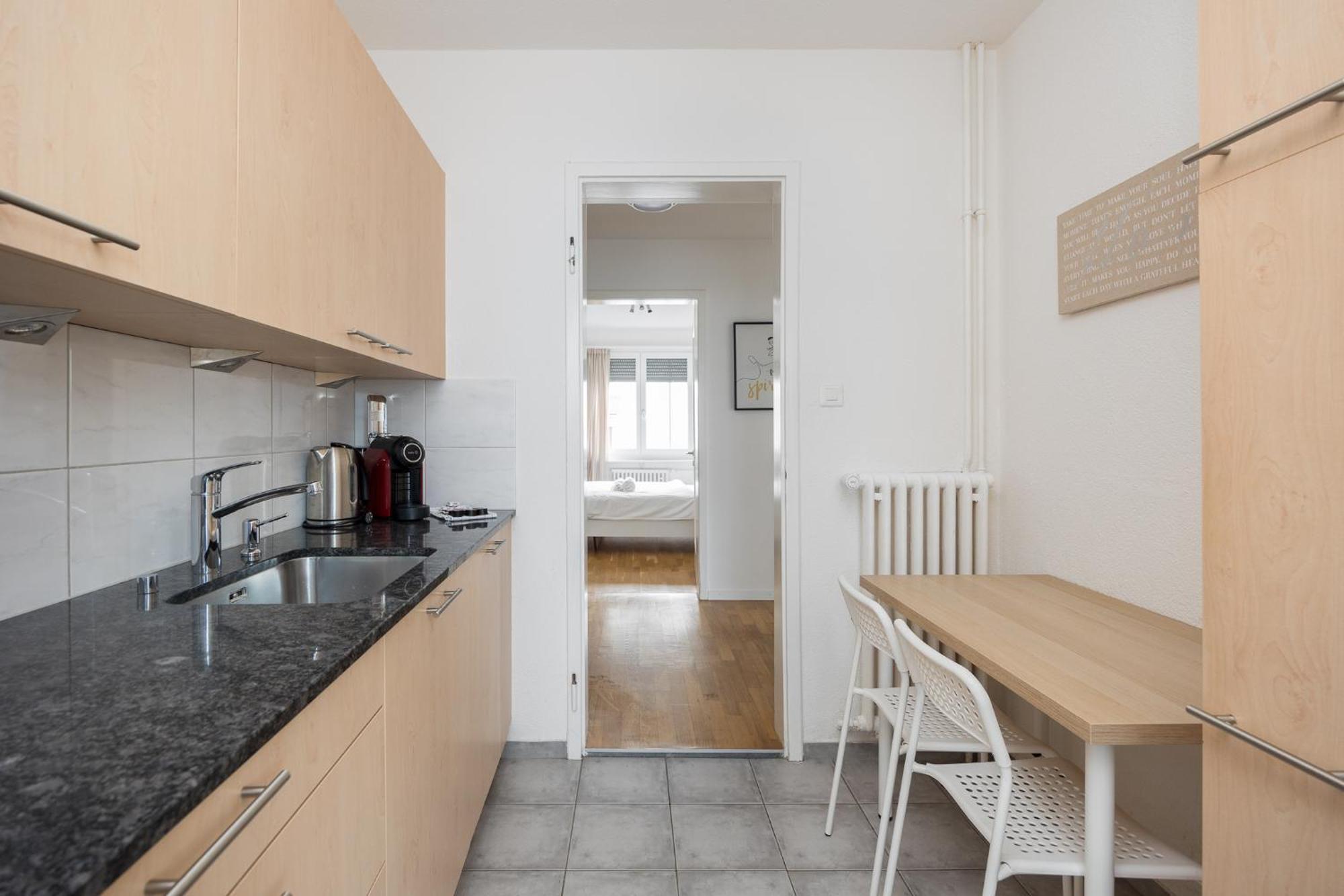 Downtown Dream 3,5br With Balcony And Style Ba42 Apartment Zurich