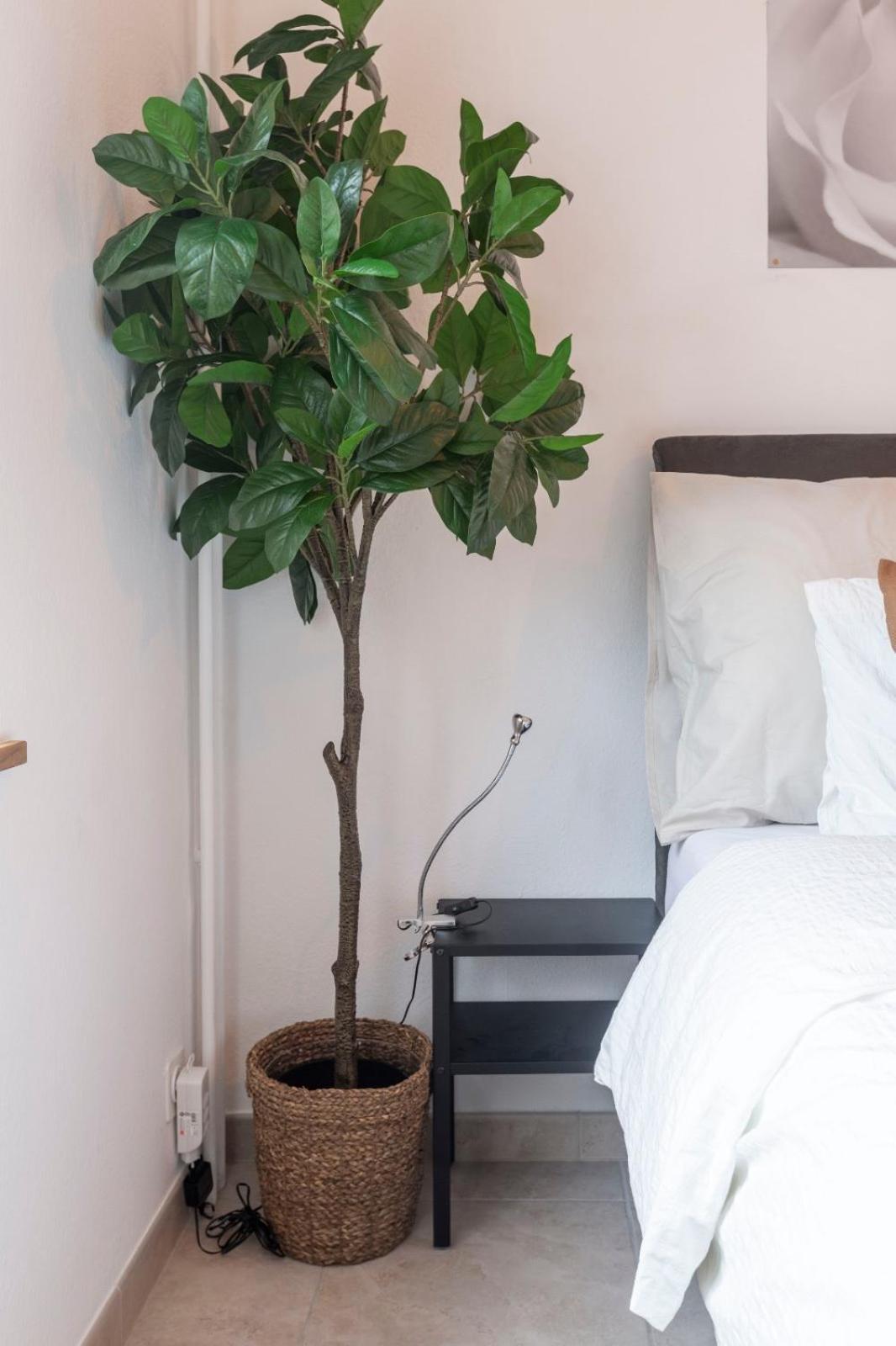 Apartamento Gemuetlich Eingerichtete Im Herzen Von