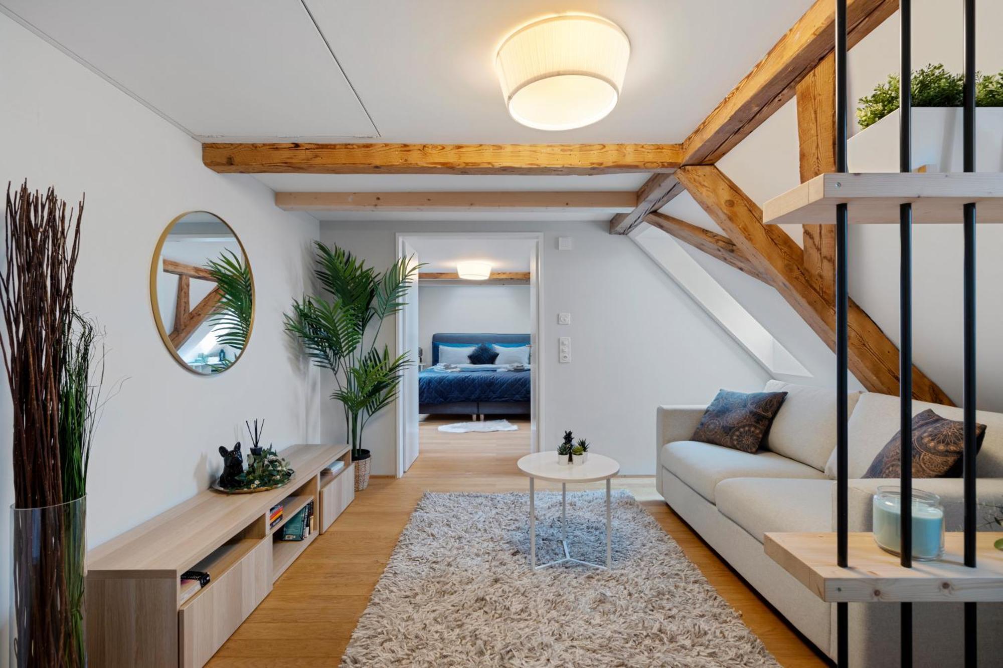 Boutiquepenthouse / Freeparking / Kingsuite / Privaterooftopterrace Apartment Zürich