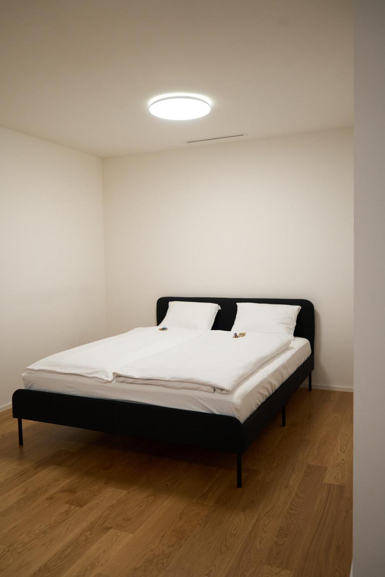 Apartment Wollishofen Station 2 Bedroom Luxury Zürich