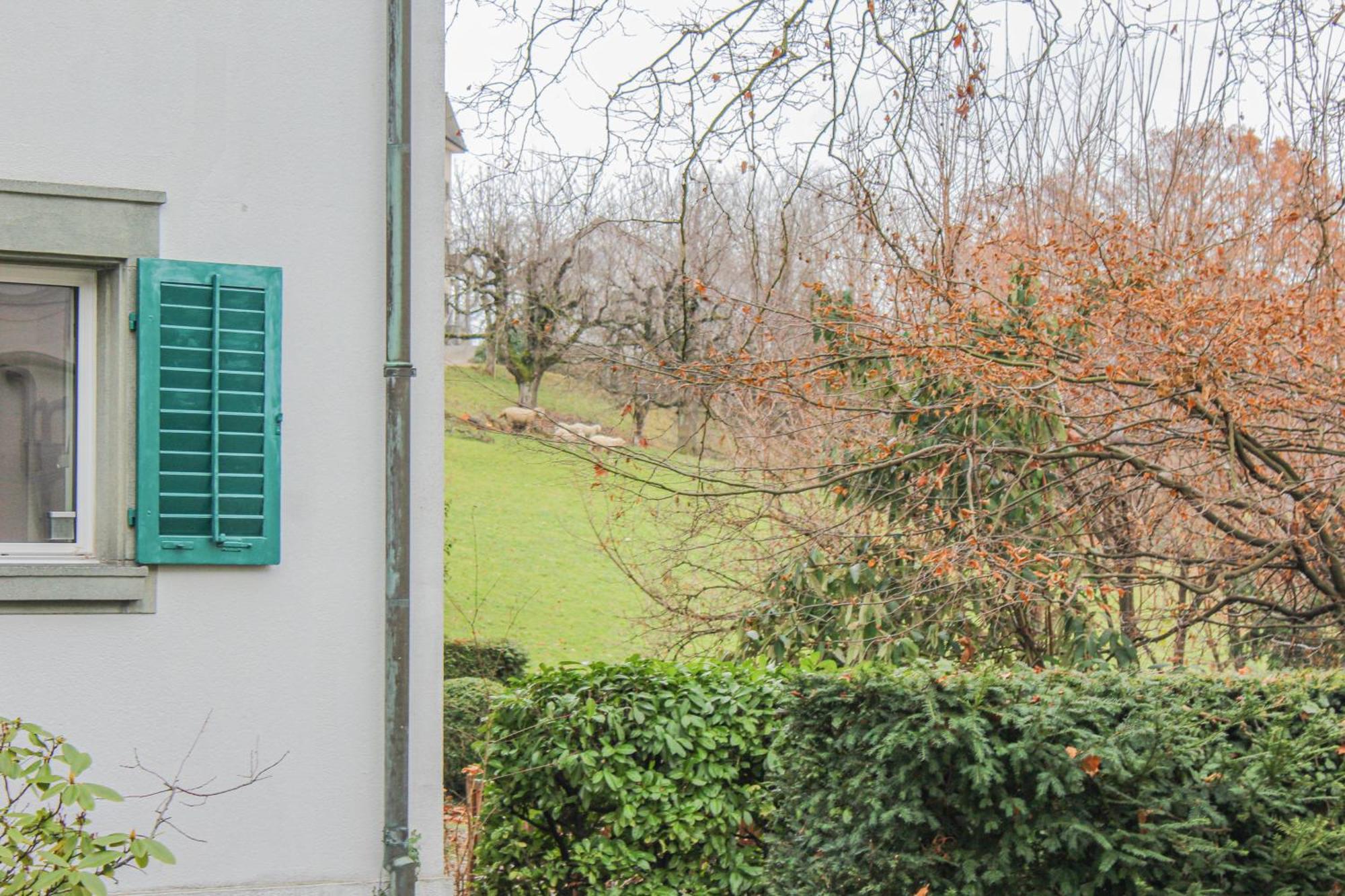 Privatunterkunft Enge Station - Private Jura Zürich