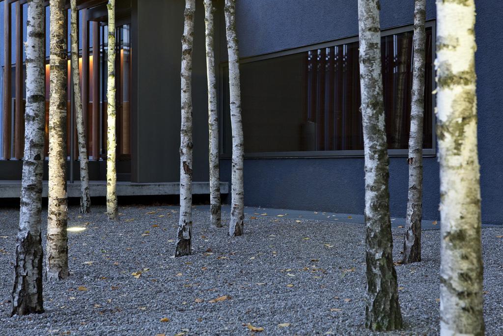 Hotel Greulich Design & Boutique 3*