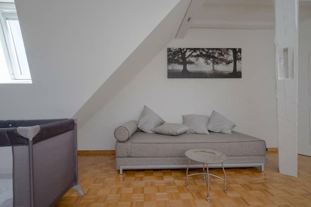 Big At Main Station Apartment Zurich