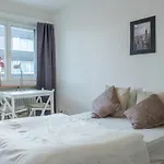 Central Studio Apartment In The Heart Of Zurich