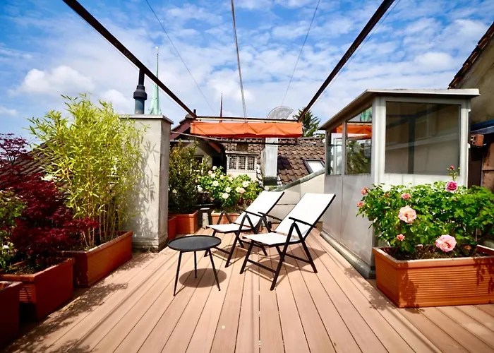 Rooftop Historical Apartment Zurich
