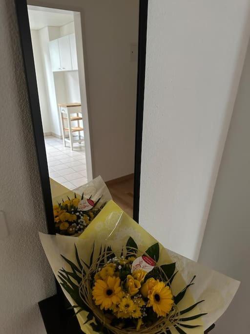 2 Bedrooms Apartamento *