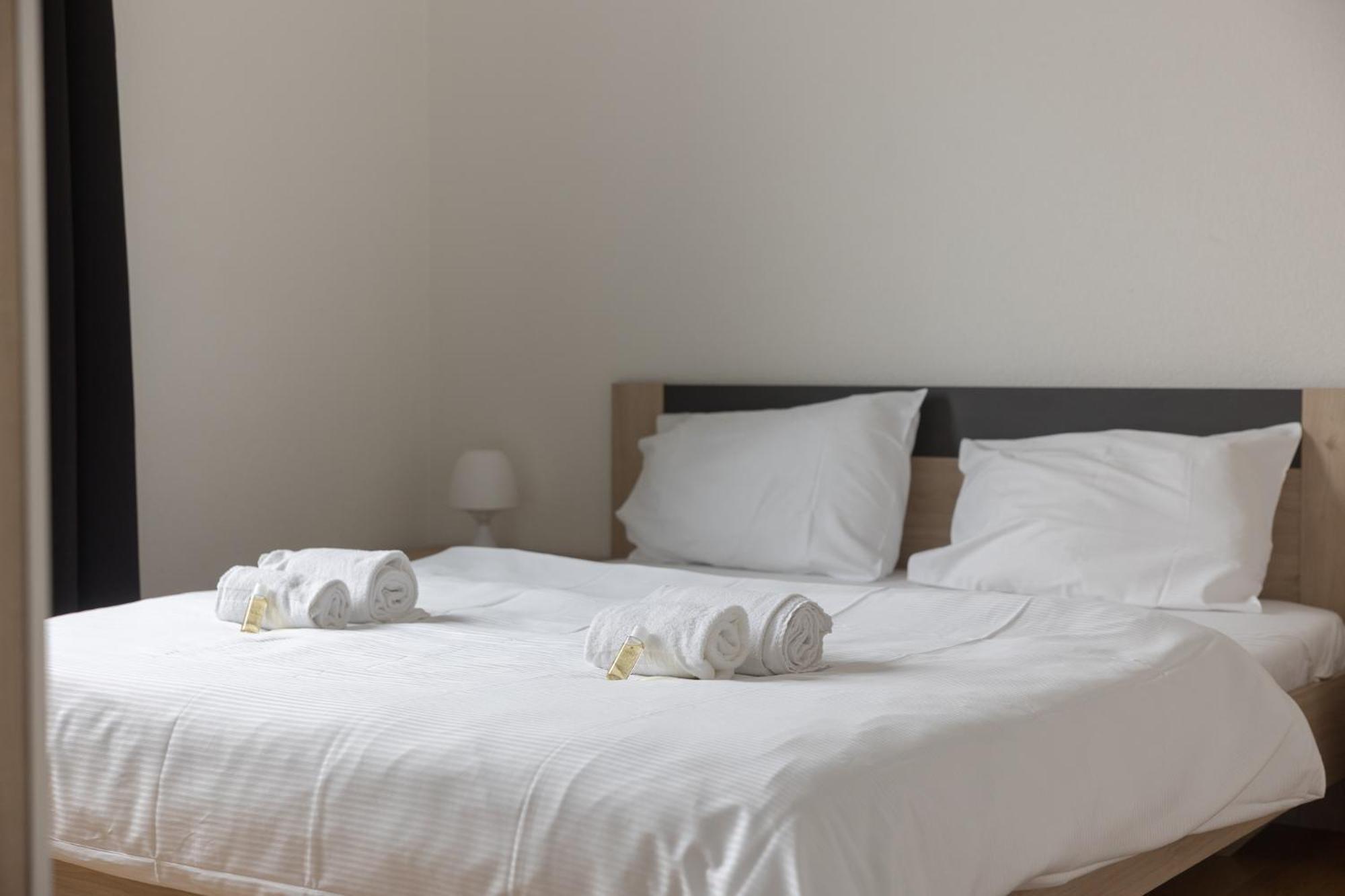 Downtown Dream 3,5br With Balcony And Style Ba22 Zurich
