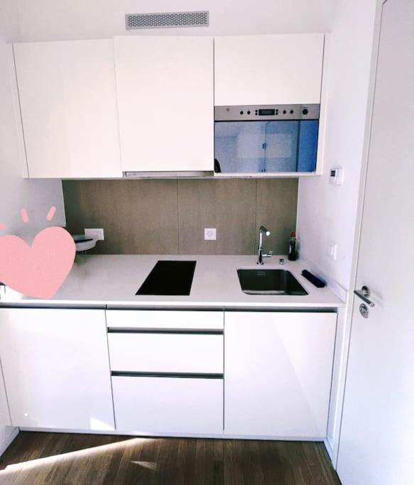 Central Apartment Zurich