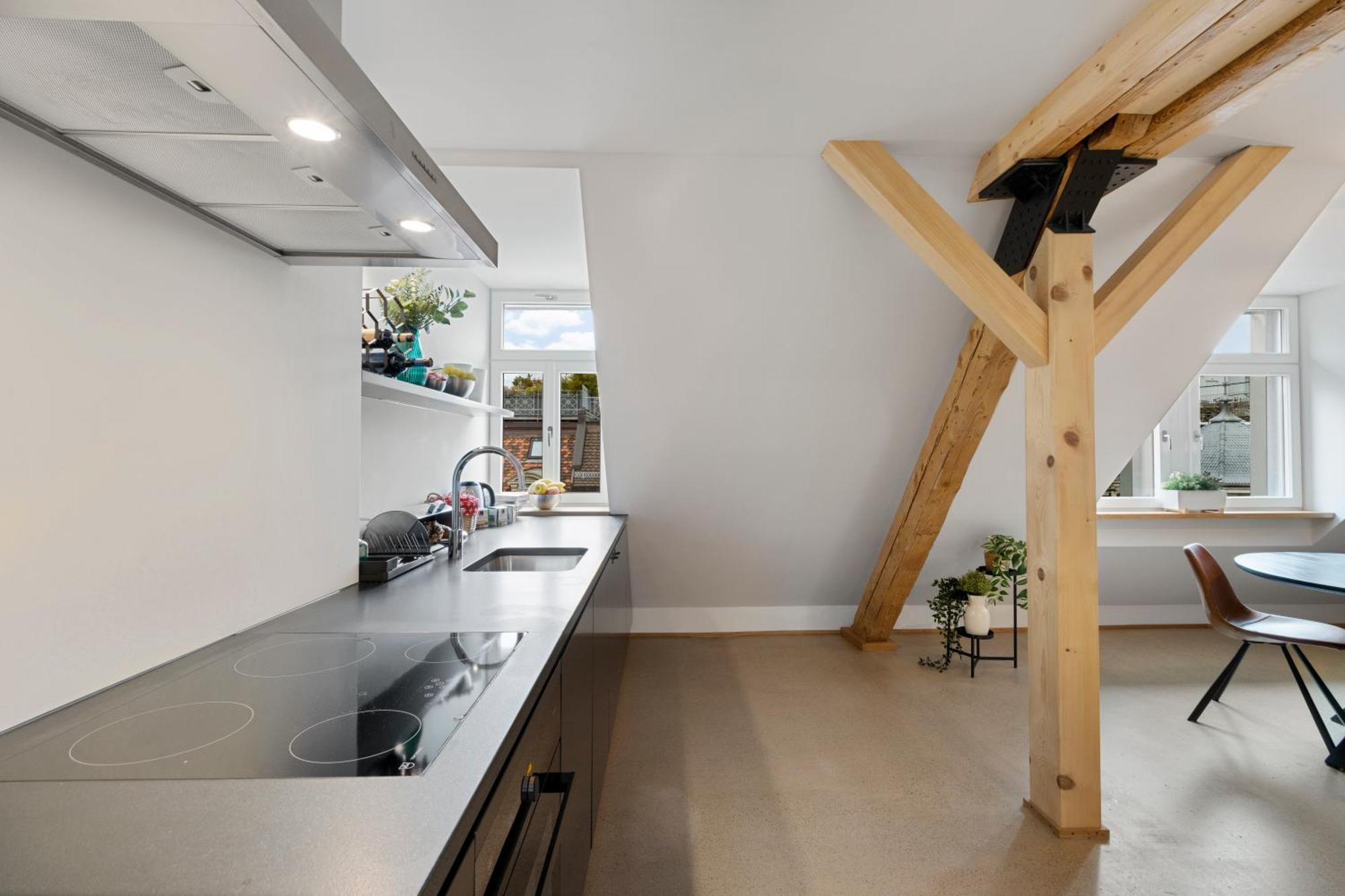 Boutiquepenthouse / Freeparking / Kingsuite / Privaterooftopterrace Apartment Zurich