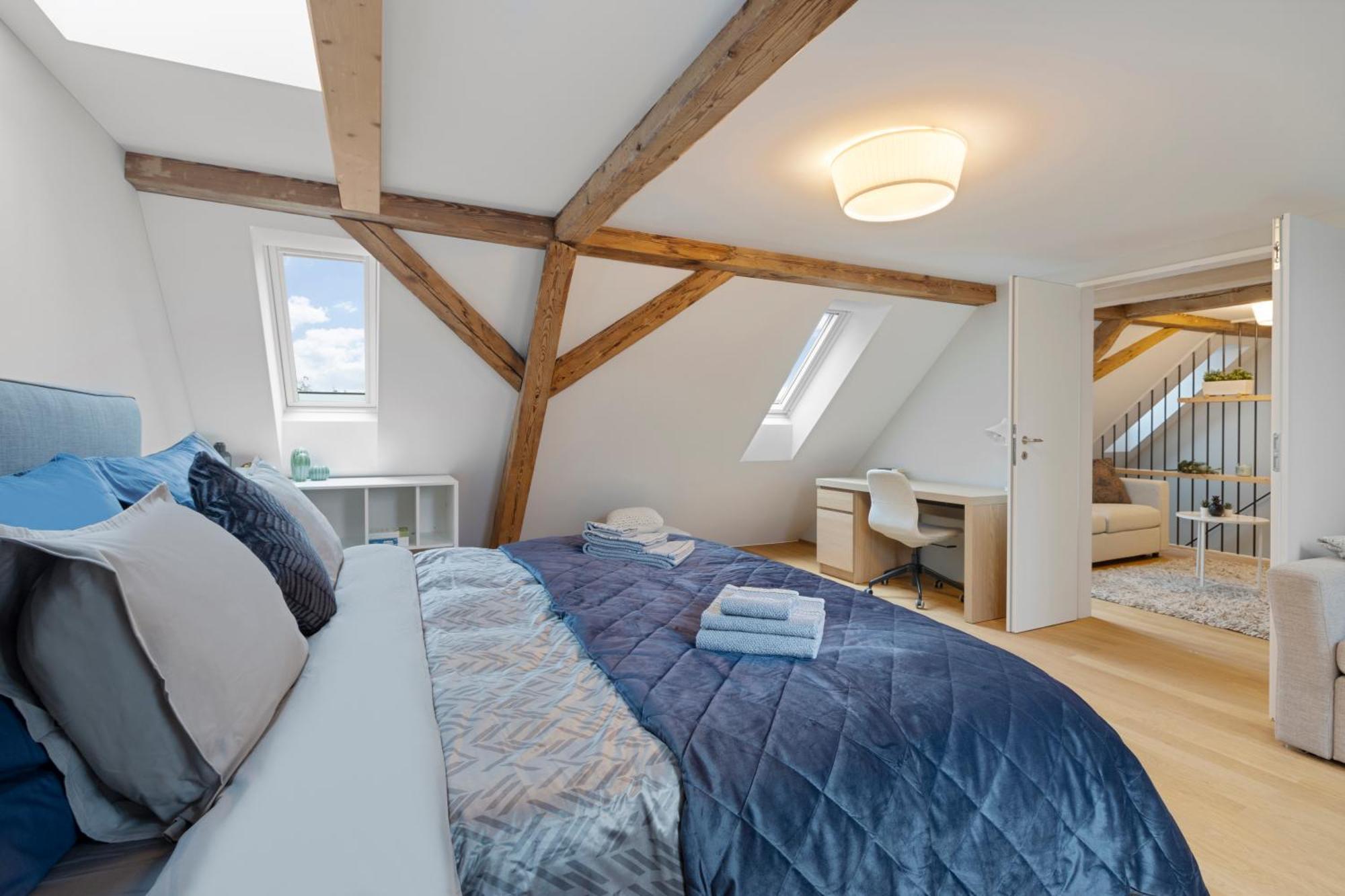 Boutiquepenthouse / Freeparking / Kingsuite / Privaterooftopterrace Zurich