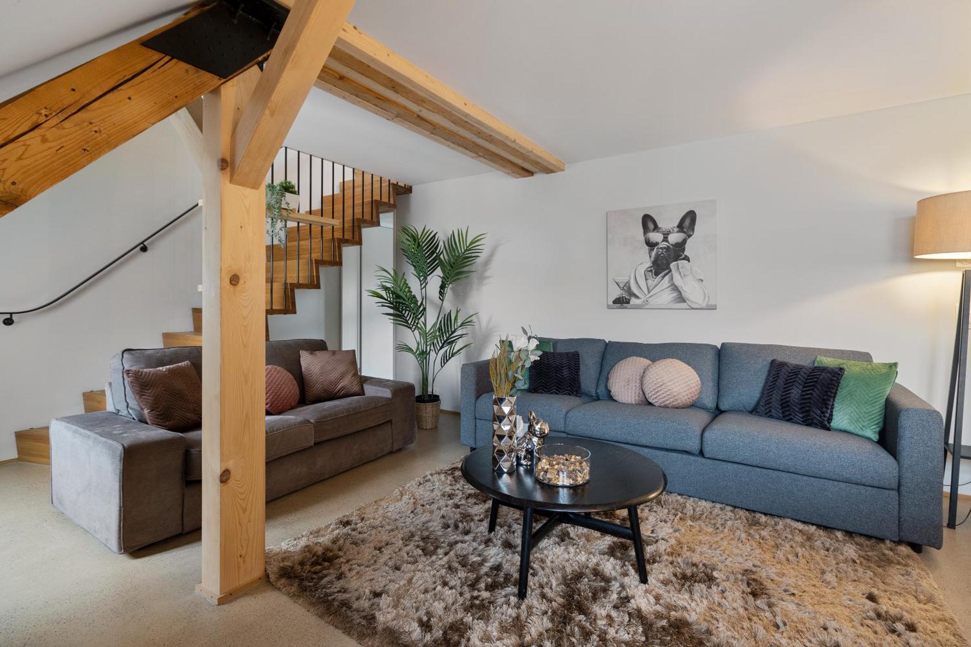 Apartment Boutiquepenthouse / Freeparking / Kingsuite / Privaterooftopterrace Zurich