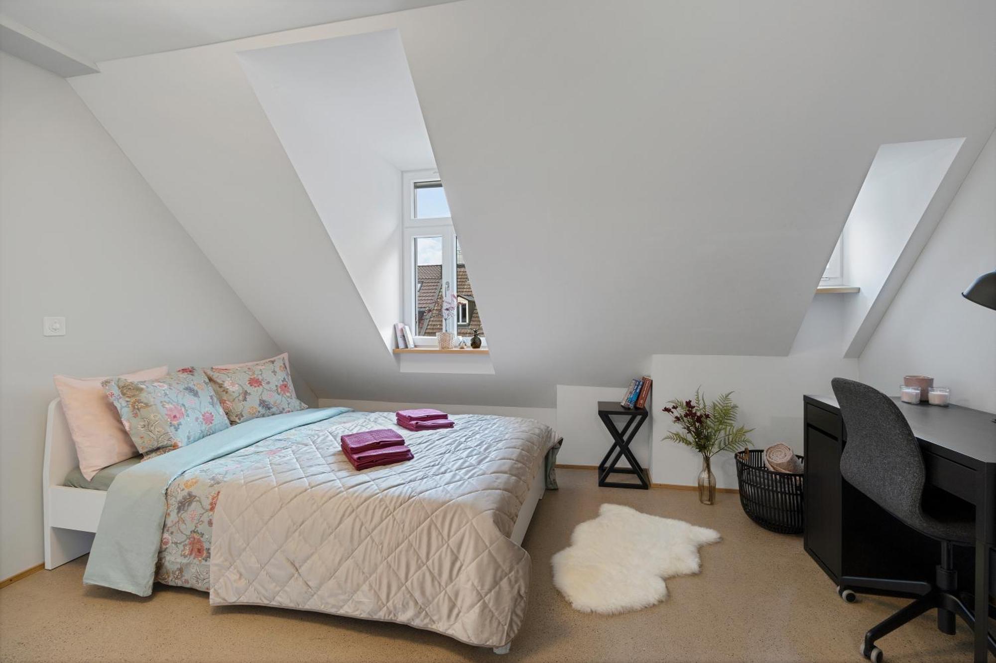 Boutiquepenthouse / Freeparking / Kingsuite / Privaterooftopterrace Apartment Zurich