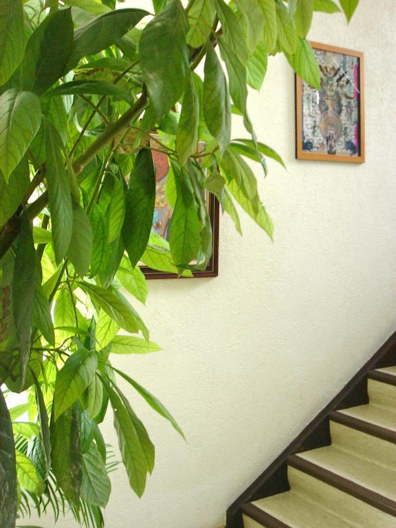 Bed & Breakfast Dakini's Bed & Breakfast