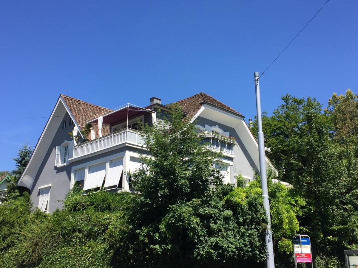 Eclectic Garden In A Quiet Residential Area * Zurich